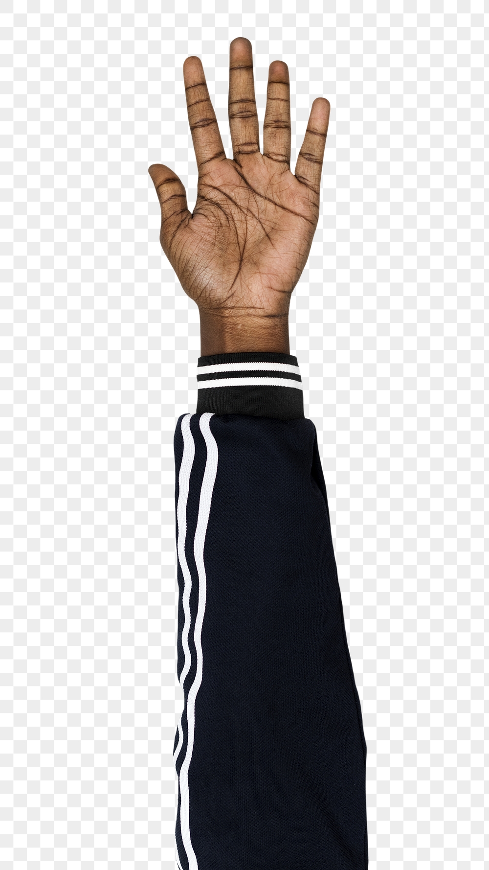 Png five fingers up black | Free PNG - rawpixel