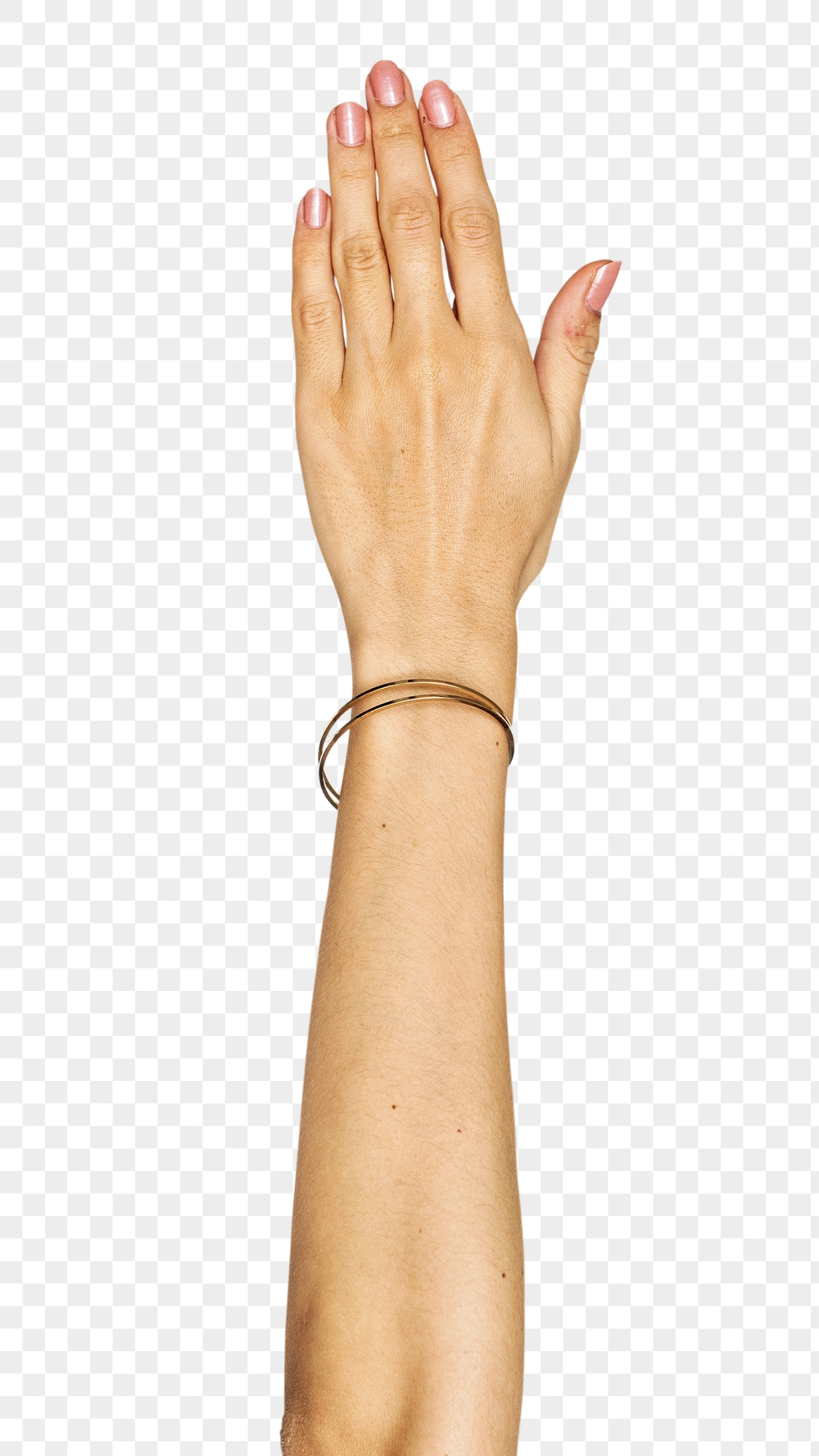 Png five fingers up hand | Free PNG - rawpixel