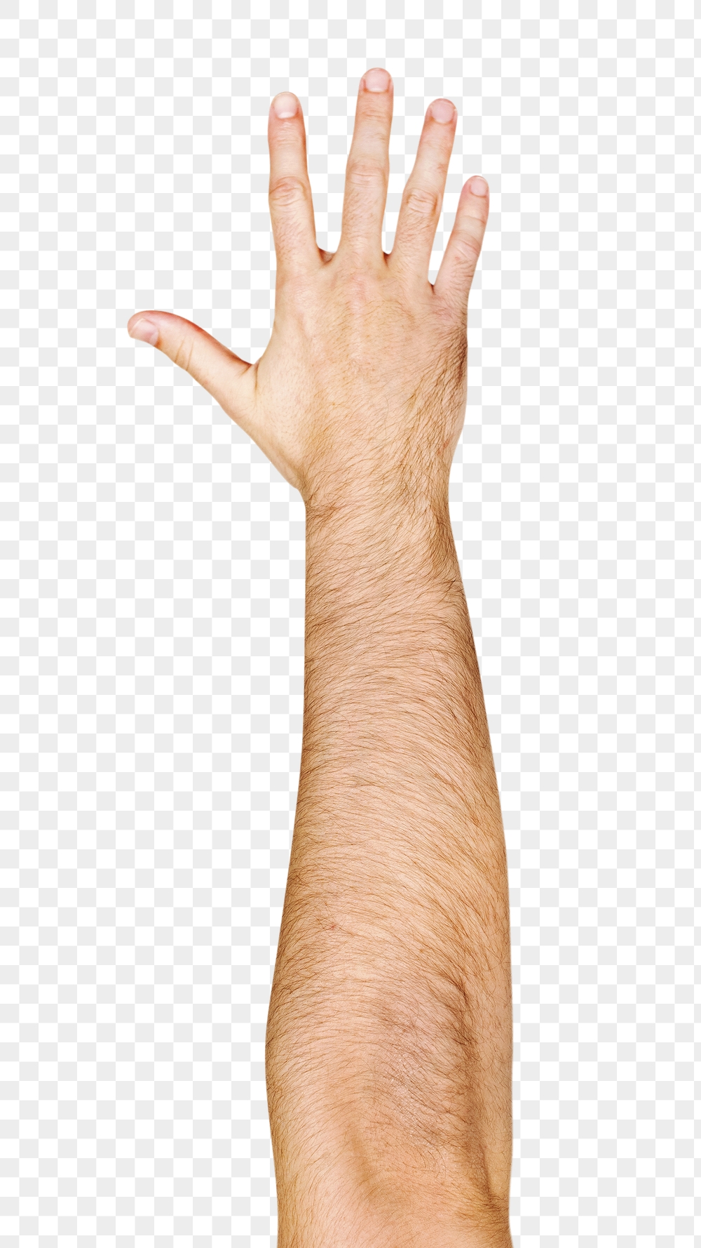 Png five fingers up hand | Free PNG - rawpixel