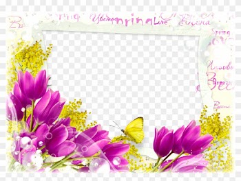 Png Flower Frame Twelve - Spring Flowers Frame Png