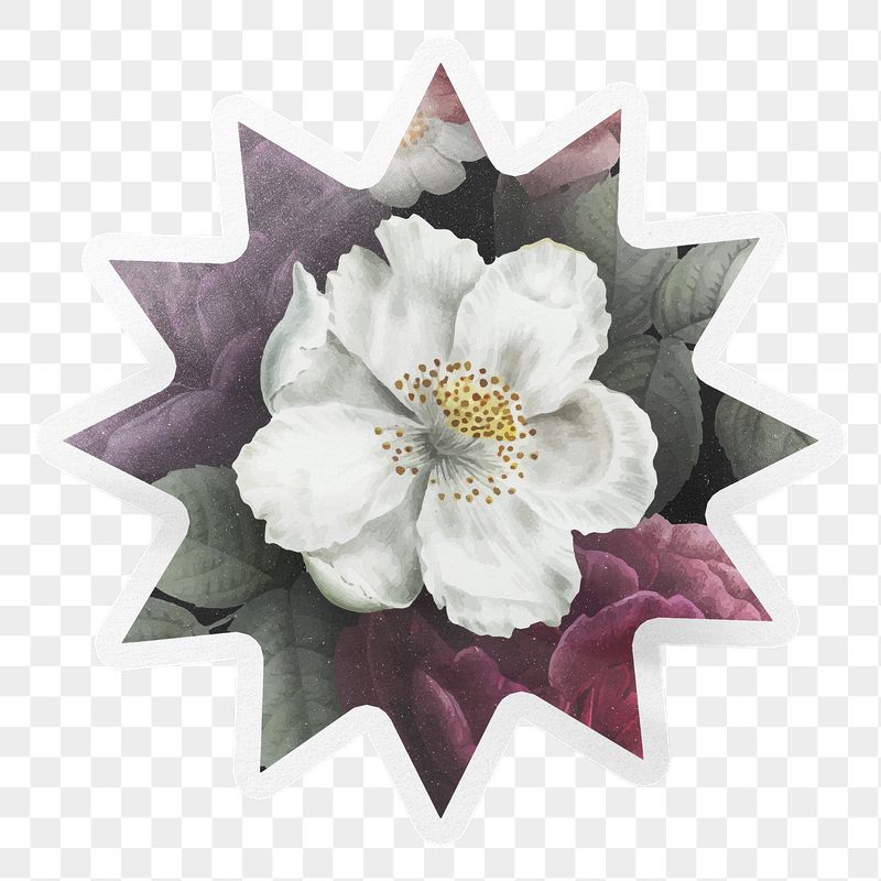 PNG flower vintage illustration, beautiful | Free PNG - rawpixel