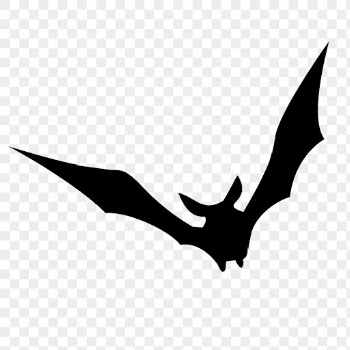 PNG flying bat silhouette sticker, | Free PNG - rawpixel