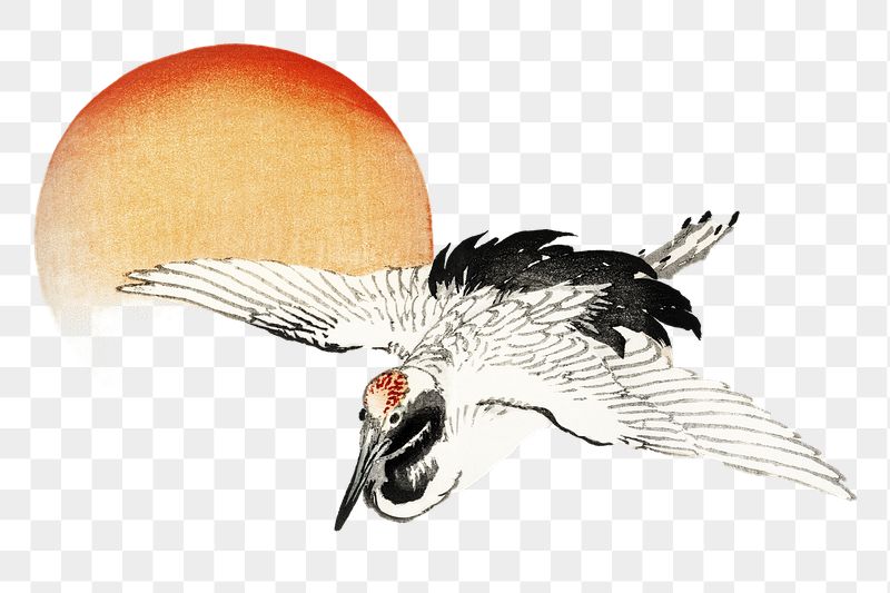 Png Flying crane sticker, Kōno | Free PNG - rawpixel