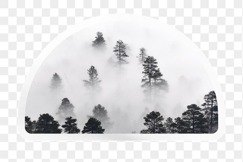 PNG foggy forest in black | Free PNG - rawpixel