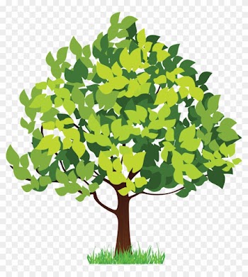 Png形式でダウンロード - Four Season Tree Clipart