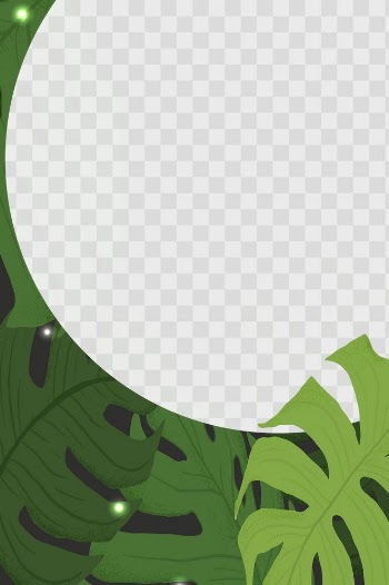 PNG frame monstera  tropical leaf botanical… | Free stock illustration | High Resolution graphic