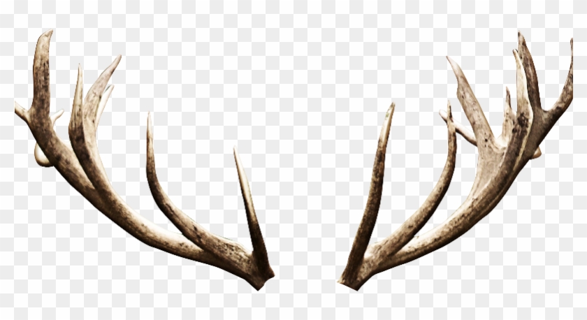 Png Free Download Antlers Transparent Background - Deer Antlers Transparent Background