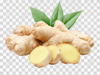 PNG Fresh Ginger Root on White Background