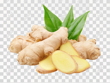 PNG Fresh Ginger Root on White Background