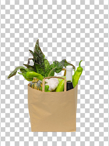 PNG Fresh Organic Grocery Bag with Vegetables