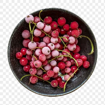 Png frozen red currant sticker, | Free PNG - rawpixel
