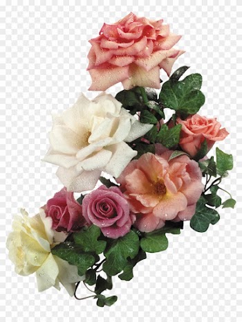 Png形式でダウンロード - Garden Roses