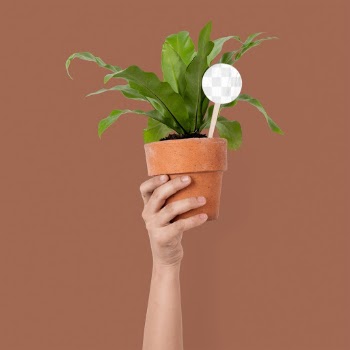 Png garden stake sign mockup with potted… | Free stock illustration | High Resolution graphic