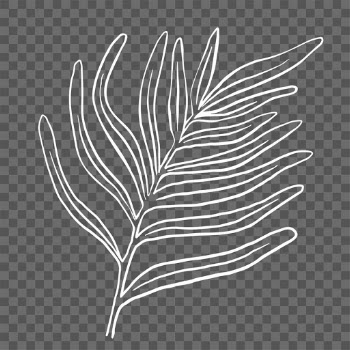 PNG gern leaf sticker doodle botanical… | Free stock illustration | High Resolution graphic
