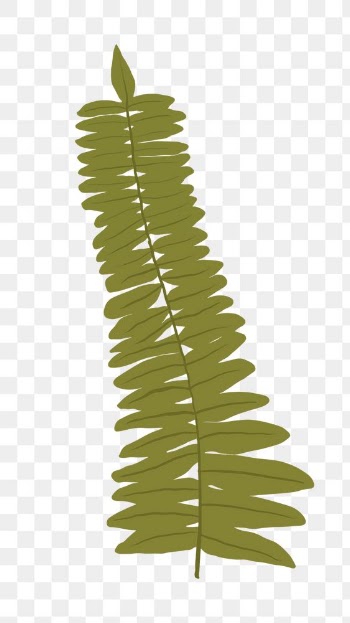 PNG gern leaf sticker plant botanical… | Free stock illustration | High Resolution graphic