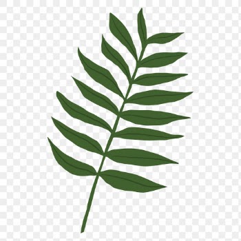 PNG gern leaf sticker plant botanical… | Free stock illustration | High Resolution graphic