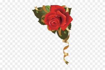 Png Gül Resimleri, Harika Png Gül Resimleri, Süper - Garden Roses