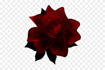 Png Gül Resimleri, Harika Png Gül Resimleri, Süper - Garden Roses
