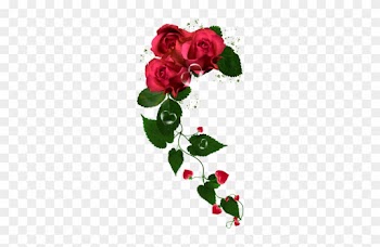 Png Gül Resimleri, Harika Png Gül Resimleri, Süper - Garden Roses