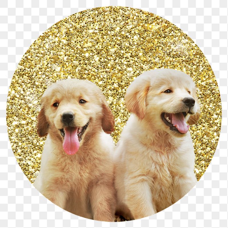 Png Golden retriever puppies badge | Free PNG - rawpixel