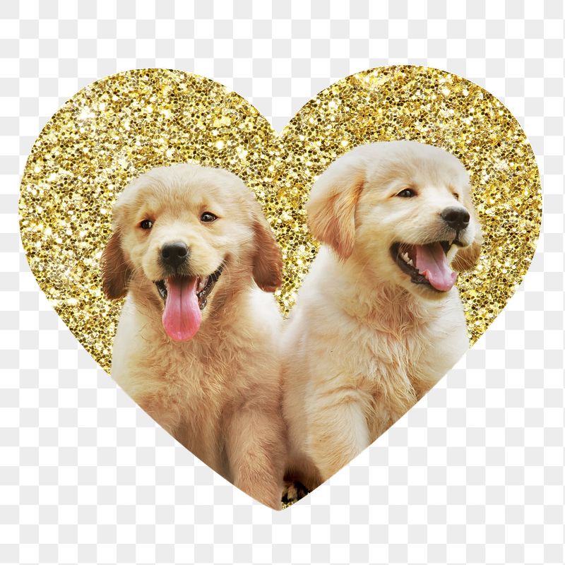Png Golden retriever puppies badge | Free PNG - rawpixel