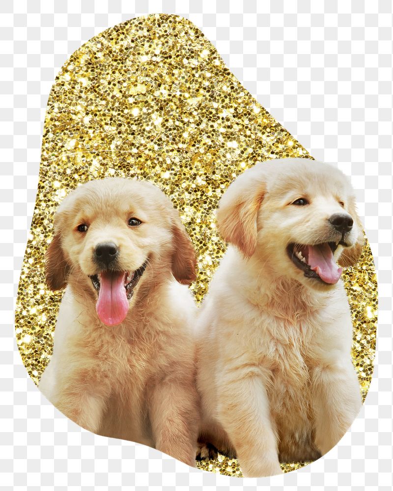 Png Golden retriever puppies badge | Free PNG - rawpixel