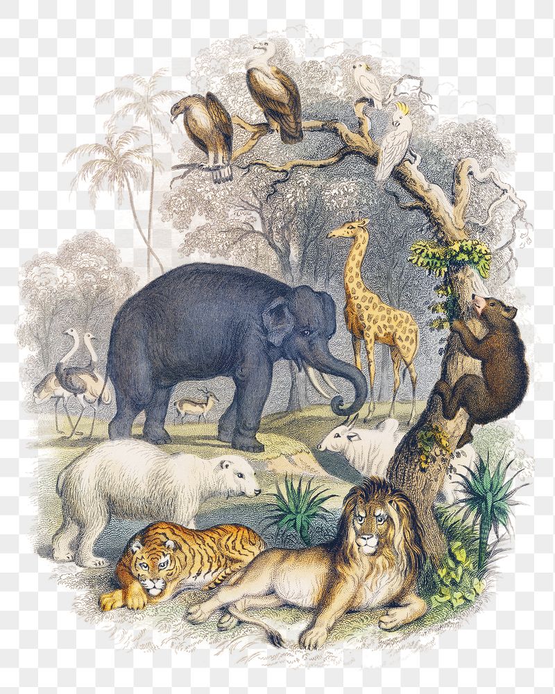 Png Goldsmith's animated nature sticker, | Free PNG - rawpixel