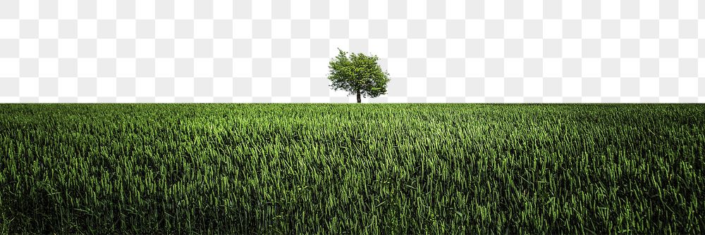 PNG green grass border, spring | Free PNG - rawpixel