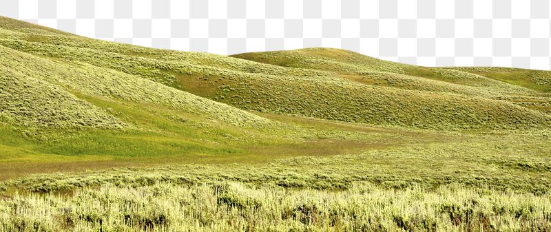 Png green hills border, beautiful | Free PNG - rawpixel
