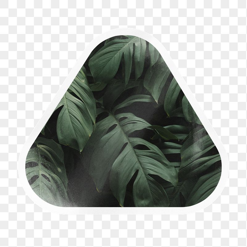 PNG green tropical leaves, printable | Free PNG - rawpixel