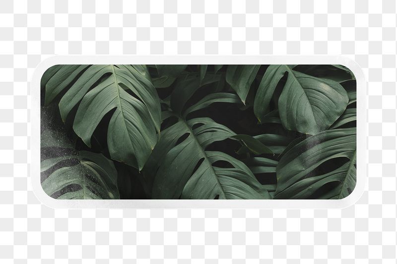 PNG green tropical leaves, printable | Free PNG - rawpixel