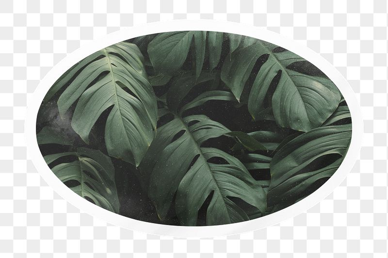 PNG green tropical leaves, printable | Free PNG - rawpixel