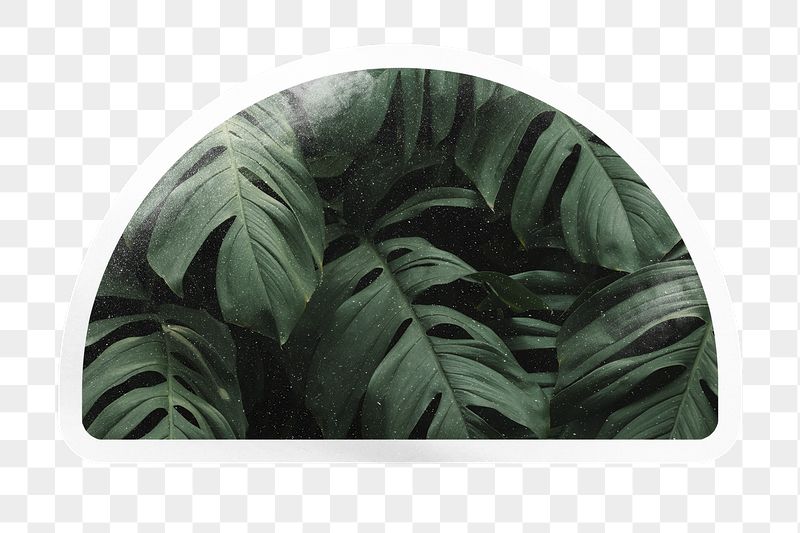 PNG green tropical leaves, printable | Free PNG - rawpixel