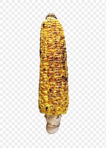 Png grilled corn sticker, food | Free PNG - rawpixel