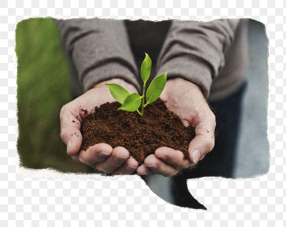 Png hand cupping plant paper | Free PNG - rawpixel