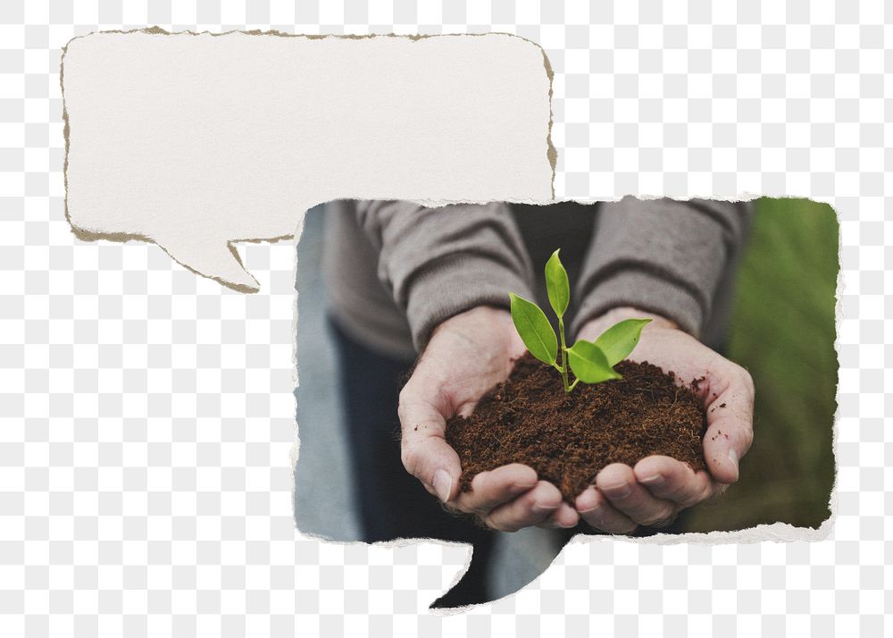 Png hand cupping plant paper | Free PNG - rawpixel