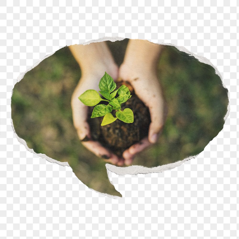 Png hand cupping plant paper | Free PNG - rawpixel
