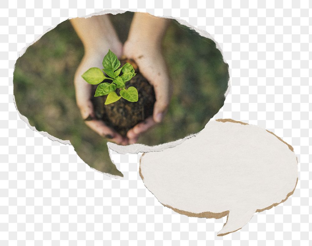 Png hand cupping plant paper | Free PNG - rawpixel