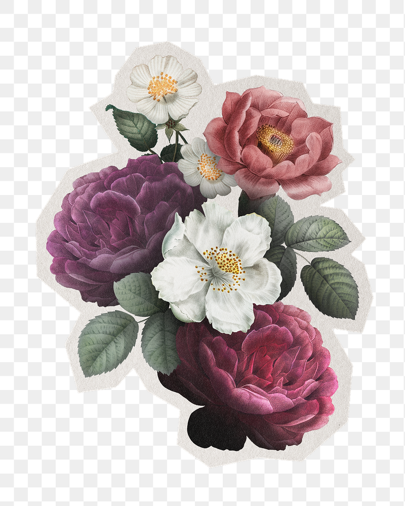 Png hand drawn roses sticker, | Free PNG - rawpixel