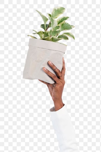 Png Hand holding plant mockup save the… | Free stock illustration | High Resolution graphic