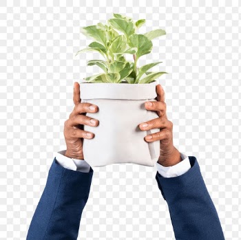 Png Hand holding plant mockup save the… | Free stock illustration | High Resolution graphic