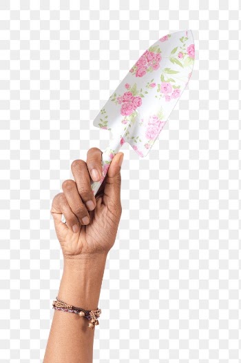 Png hand mockup holding floral patterned… | Free stock illustration | High Resolution graphic