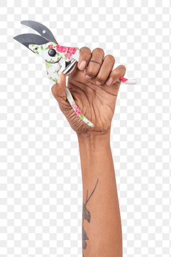 Png hand mockup holding patterned pruning… | Free stock illustration | High Resolution graphic