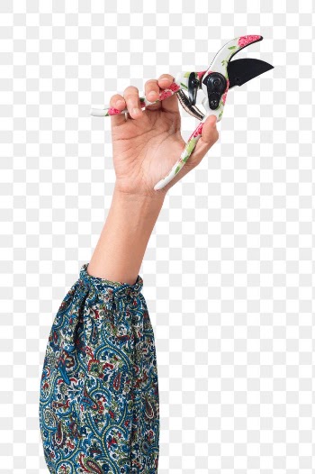 Png hand mockup holding patterned pruning… | Free stock illustration | High Resolution graphic