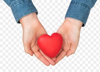 Png Hands cupping heart mockup in love and… | Free stock illustration | High Resolution graphic