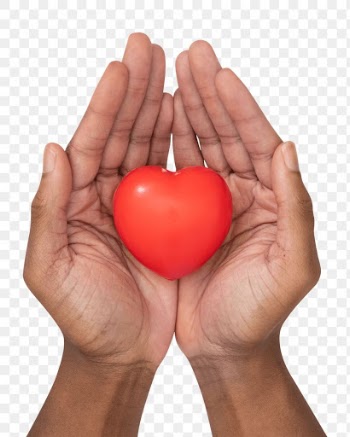 Png Hands cupping heart mockup in love and… | Free stock illustration | High Resolution graphic