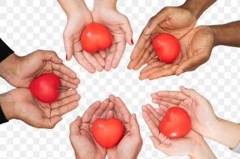 Png Hands cupping heart mockup in love and… | Free stock illustration | High Resolution graphic