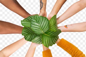 Png Hands cupping plant mockup  save the… | Free stock illustration | High Resolution graphic