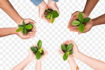 Png Hands cupping plant mockup  save the… | Free stock illustration | High Resolution graphic