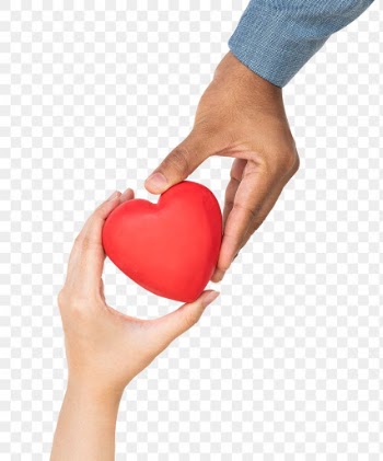 Png Hands holding heart mockup in love and… | Free stock illustration | High Resolution graphic
